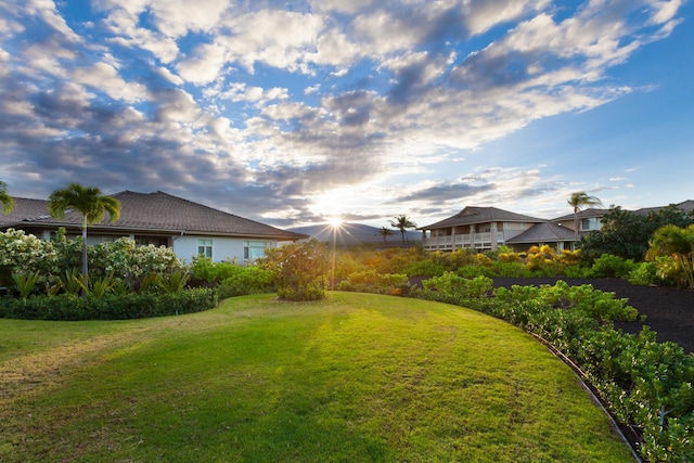 68-1122 Kaniku Dr Unit 426, Kamuela, HI 96743 - view of grassy yard