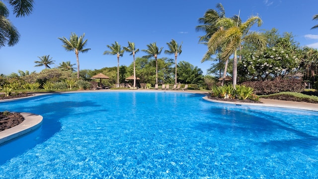 68-1122 Kaniku Dr Unit 426, Kamuela, HI 96743 - view of swimming pool