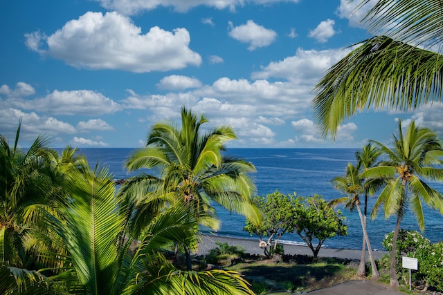 87-287 Kaohe Rd, Captain Cook, HI 96704 - photo 30