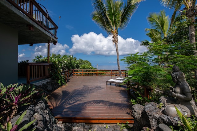 87-287 Kaohe Rd, Captain Cook, HI 96704 - photo 28