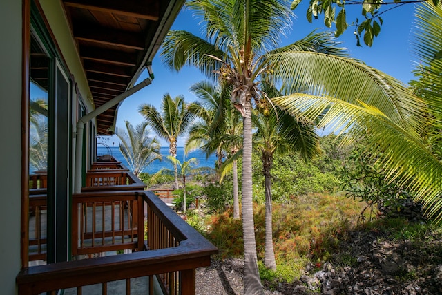 87-287 Kaohe Rd, Captain Cook, HI 96704 - photo 15
