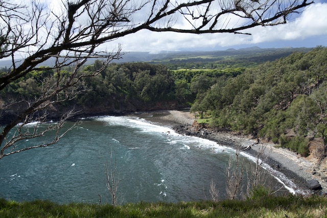 53-4429 Akoni Pule Hwy, Kapaau, HI 96755 - photo 20