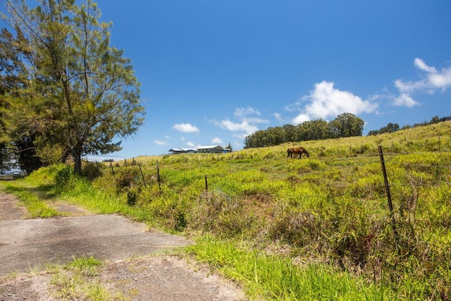 Spencer Rd, Laupahoehoe, HI 96764
