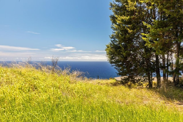 Spencer Rd, Laupahoehoe, HI 96764