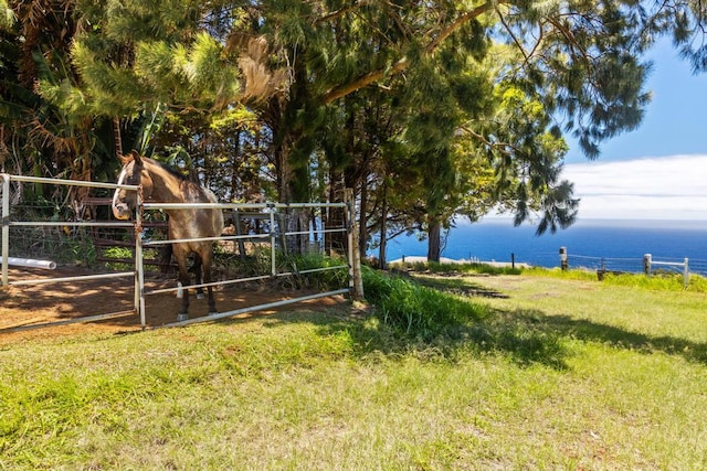 Spencer Rd, Laupahoehoe, HI 96764