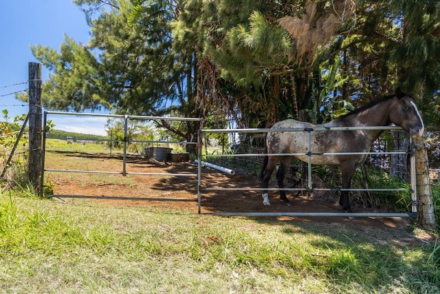 Spencer Rd, Laupahoehoe, HI 96764