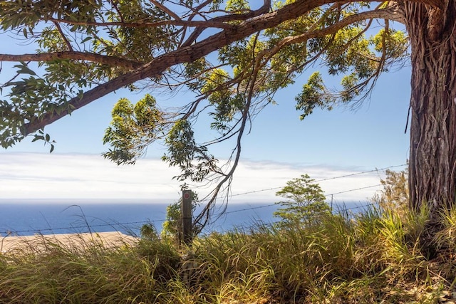 Spencer Rd, Laupahoehoe, HI 96764