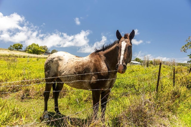 Spencer Rd, Laupahoehoe, HI 96764