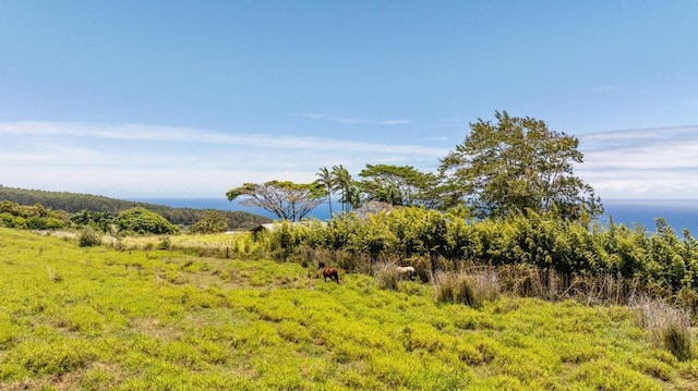 Spencer Rd, Laupahoehoe, HI 96764