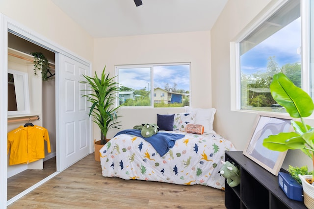 16-2102 Leilani Dr, Pahoa, HI 96778 - bedroom with wood finished floors, a closet, and ceiling fan