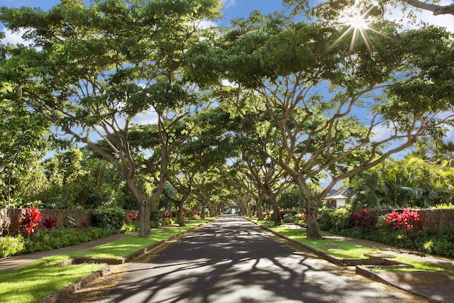 5599 Holo Malanai St, Koloa, HI 96756 - view of asphalt street featuring sidewalks and curbs