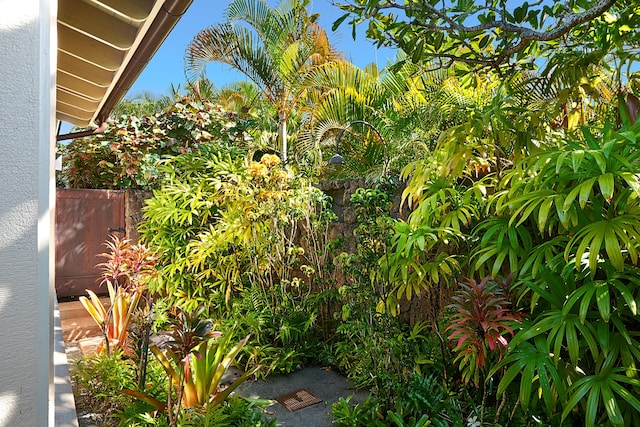 5599 Holo Malanai St, Koloa, HI 96756 - view of yard