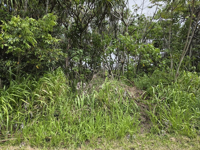 Wehelauniu St, Pahoa, HI 96778 - photo 1