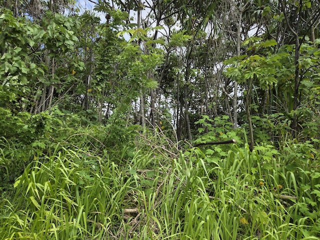 Wehelauniu St, Pahoa, HI 96778 - photo 2