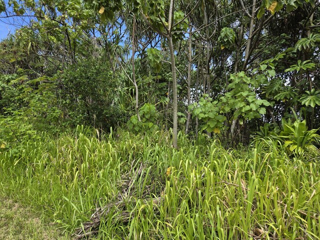 Wehelauniu St, Pahoa, HI 96778 - photo 3