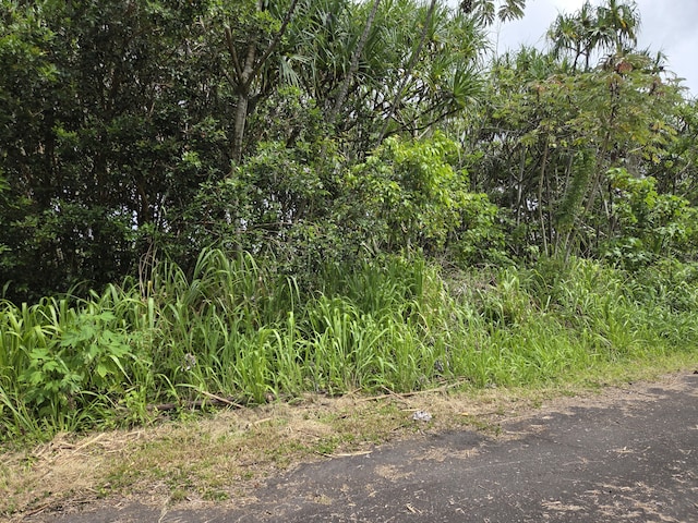 Wehelauniu St, Pahoa, HI 96778 - photo 5