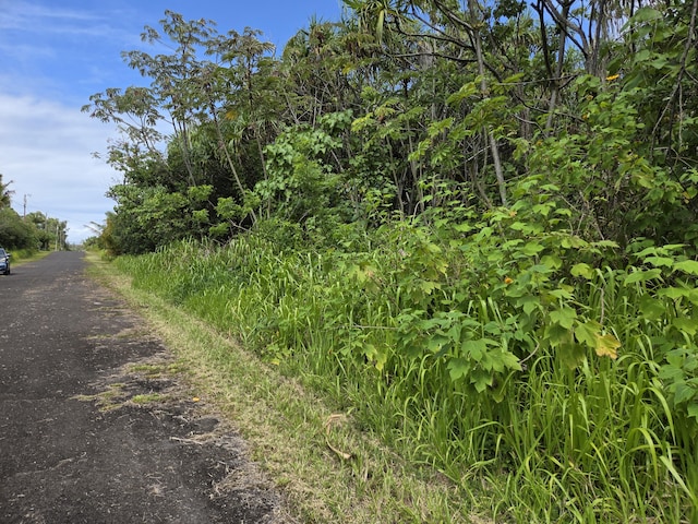 Wehelauniu St, Pahoa, HI 96778 - photo 6