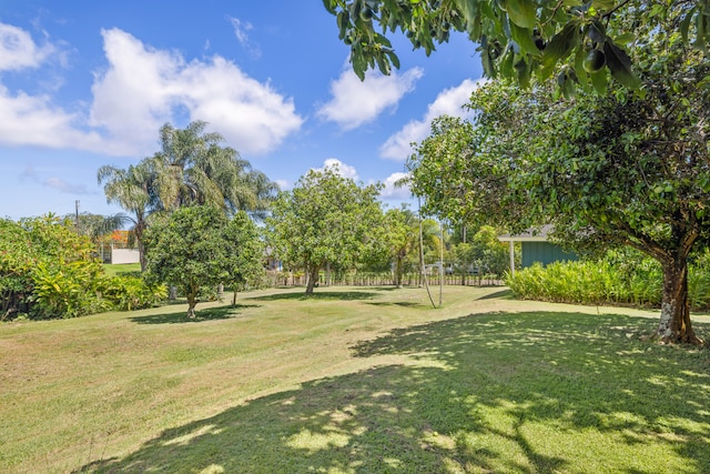 2645 Keoki Pl, Kalaheo, HI 96741 - view of green lawn