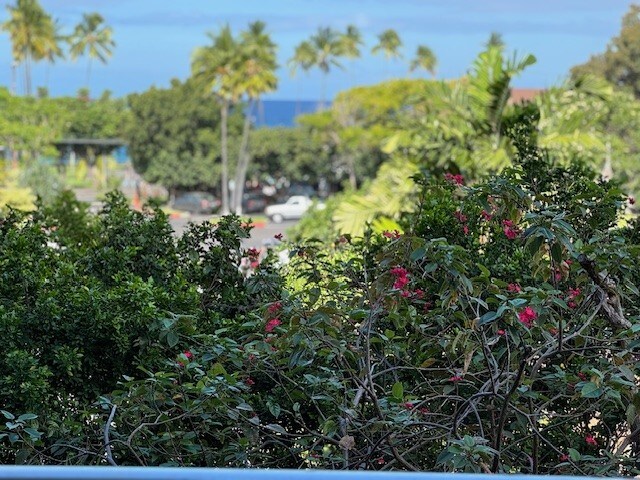 75-5766 Kuakini Hwy Unit 210, Kailua-Kona, HI 96740 - view of yard