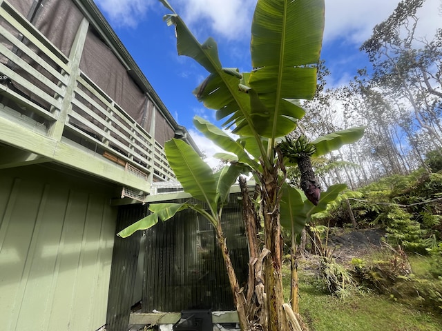 11-3119 Alii Anela St, Volcano, HI 96785 - view of side of home