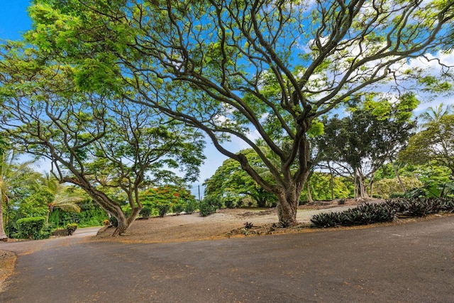 78-6781 Walua Rd, Kailua-Kona, HI 96740 - photo 30