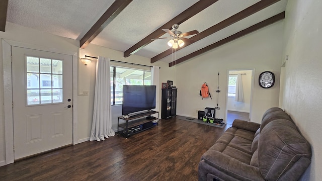 14-3404 Hawaii Rd, Pahoa, HI 96778 - photo 8