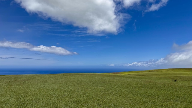 Ualani Pl, Kamuela, HI 96743 - photo 3