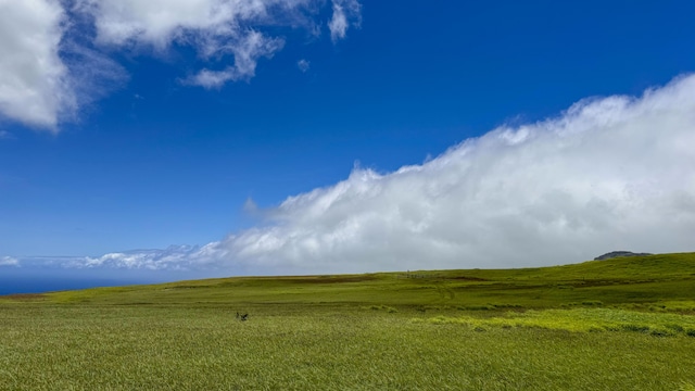Ualani Pl, Kamuela, HI 96743 - photo 4