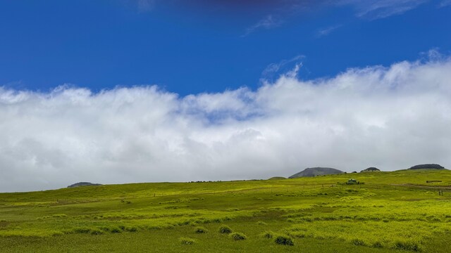 Ualani Pl, Kamuela, HI 96743 - photo 5