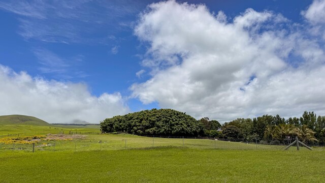 Ualani Pl, Kamuela, HI 96743 - photo 7