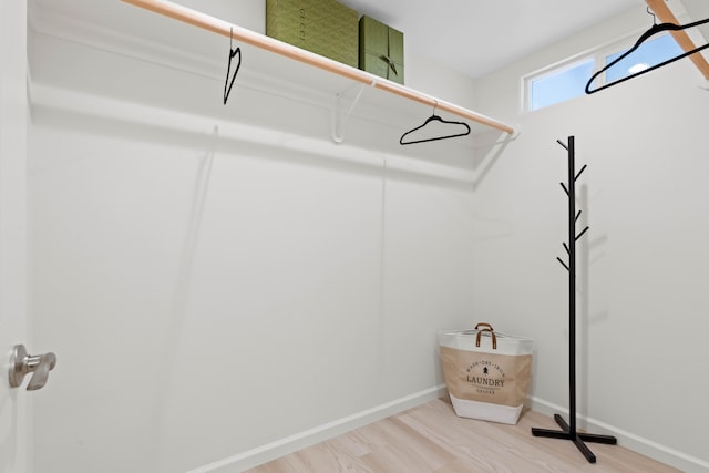 16-2072 Kuhio Dr, Pahoa, HI 96778 - walk in closet with light wood-style flooring