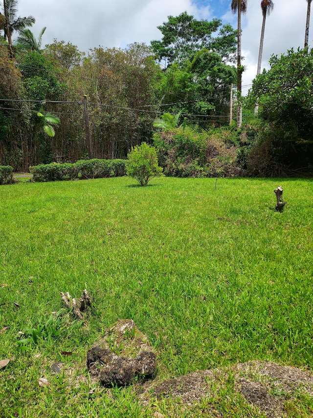 17-4136 Kukui Camp Rd, Mountain View, HI 96771 - view of green lawn