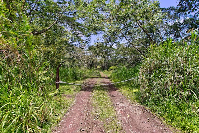 Pahoa Kalapana Rd, Pahoa, HI 96778