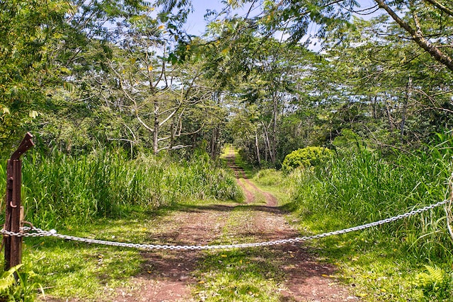Pahoa Kalapana Rd, Pahoa, HI 96778
