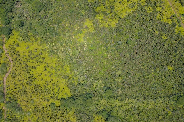 Pahoa Kalapana Rd, Pahoa, HI 96778