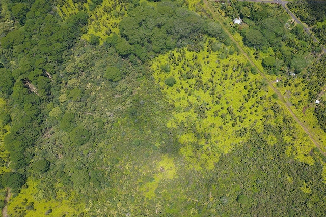 Pahoa Kalapana Rd, Pahoa, HI 96778