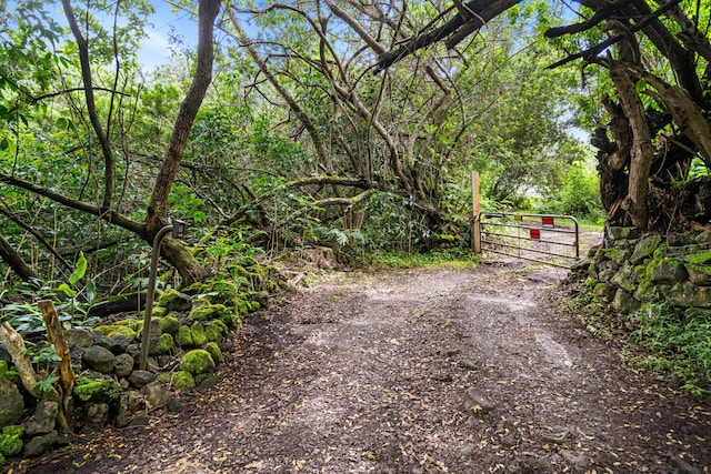 79-1145 Kao Rd, Holualoa, HI 96725 - view of street with a gate