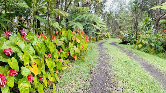 11-3170 Anuhea St, Volcano, HI 96785 - view of yard featuring driveway