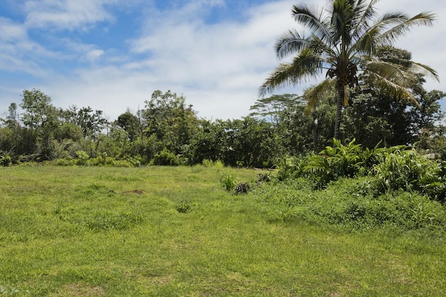 15-1439 29th Ave, Keaau, HI 96749 - photo 23