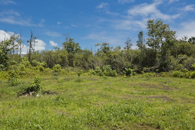 15-1439 29th Ave, Keaau, HI 96749 - photo 26