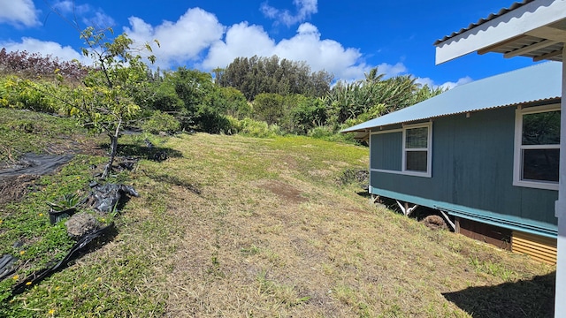 48-5241 Kukuihaele Rd, Honokaa, HI 96727 - view of yard