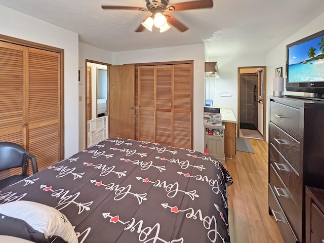 979-A Kumukoa St, Hilo, HI 96720 - bedroom with two closets, light wood-style floors, and a ceiling fan