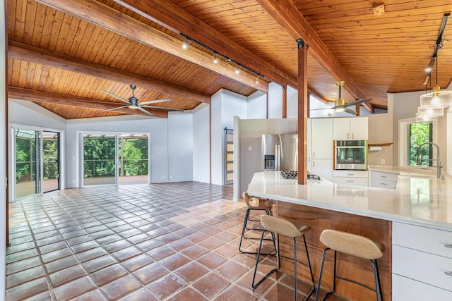 4417-B Kahili Makai St Unit D, Kilauea, HI 96754 - kitchen with track lighting, stainless steel appliances, open floor plan, a ceiling fan, and a wood ceiling with exposed beams