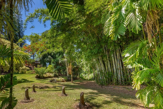 4417-B Kahili Makai St Unit D, Kilauea, HI 96754 - view of green lawn