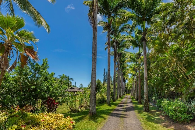 4417-B Kahili Makai St Unit D, Kilauea, HI 96754 - view of dirt / gravel road