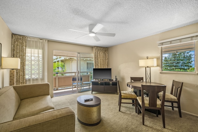 525 Aleka Lp Unit H16, Kapaa, HI 96746 - photo 4