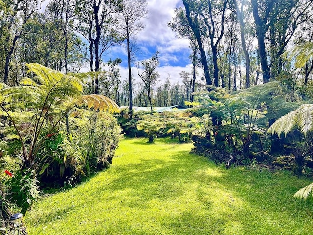 11-2920 S Apele Rd, Mountain View, HI 96771 - view of grassy yard