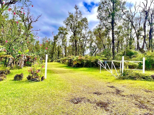 11-2920 S Apele Rd, Mountain View, HI 96771 - view of green lawn
