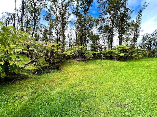 11-2920 S Apele Rd, Mountain View, HI 96771 - view of grassy yard