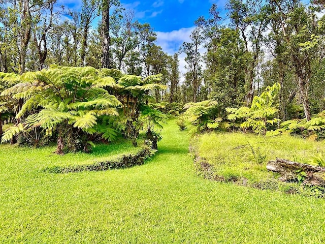 11-2920 S Apele Rd, Mountain View, HI 96771 - view of grassy yard
